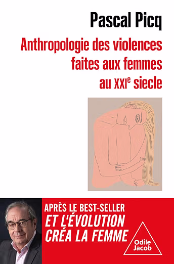 couverture-livre-violences-anthropologie-des-violences-faites-aux-femmes